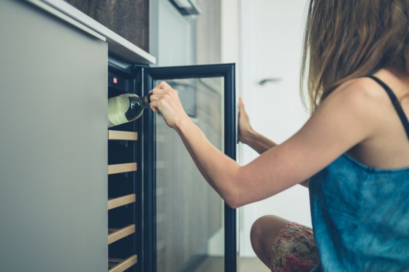 Wine Fridge Repair